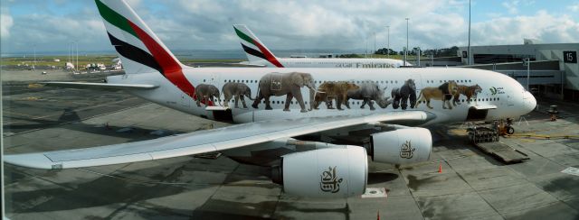 Airbus A380-800 (A6-EEQ) - Taken at Emirates service base at AKL International. Shot from behind glass as three separate shots, then stitched together - hence the large image size. Enjoy