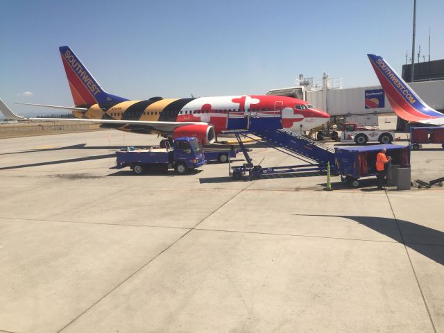 Boeing 737-700 (N214WN) - Maryland One visiting Spokane