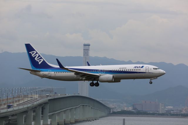 Boeing 737-800 (JA59AN)