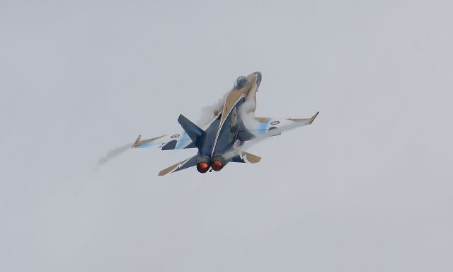 McDonnell Douglas FA-18 Hornet —