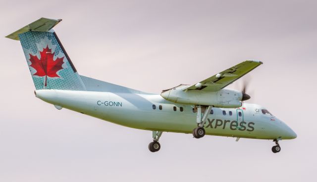 de Havilland Dash 8-100 (C-GONN)