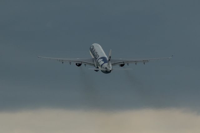 Airbus A330-300 (OH-LTO)