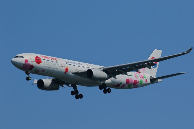 Airbus A330-300 (B-6129)