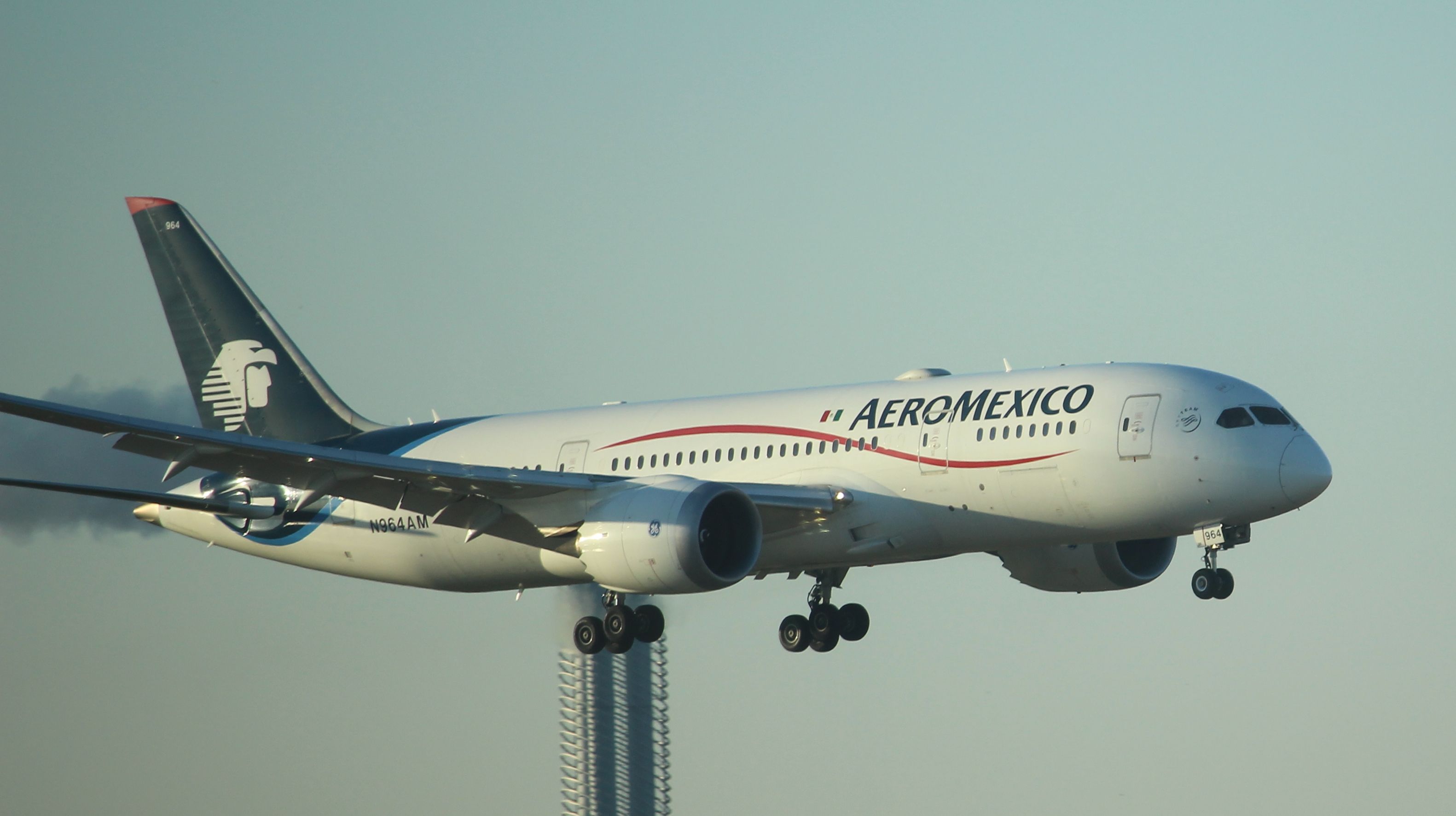 Boeing 787-8 (N964AM)