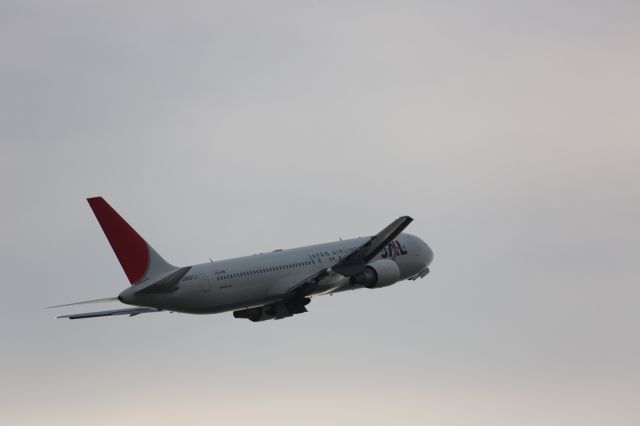 BOEING 767-300 (JA607J)