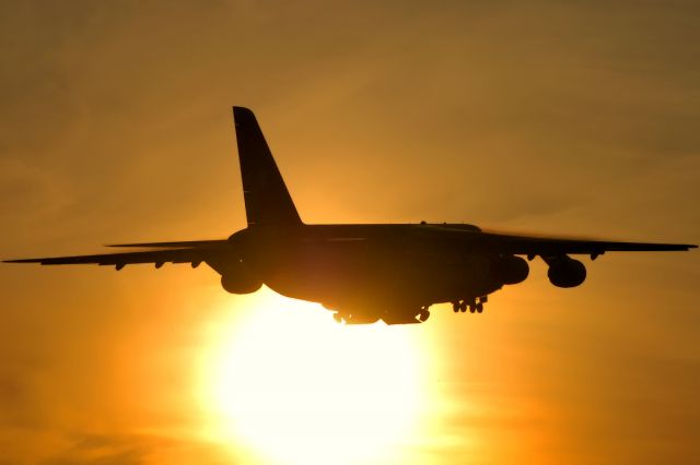 Antonov An-12 (RA-82014) - Former Sowjet AF (566 vtap at Seshcha) Ruslan taking off into the morning sun. This Beauty was earmarked for conversion to An-124VS space-rocket launch aircraft in Russian AF Service - cancelled due costs. Now again Russia AF, opb 6957 AB at Seshcha