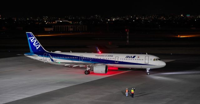 Airbus A321 (JA132A)