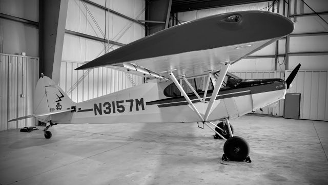 Piper L-21 Super Cub (N3157M)