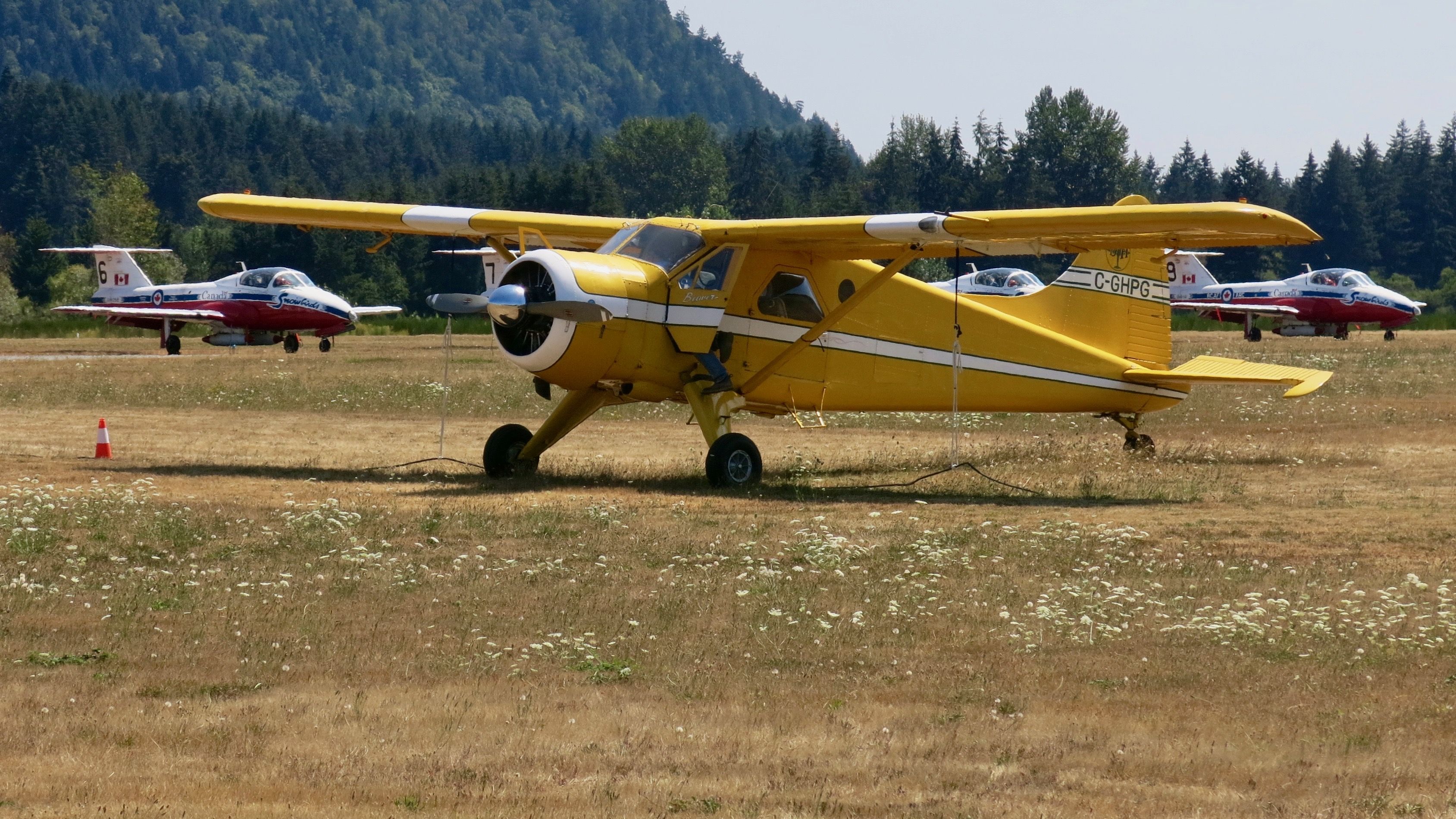 De Havilland Canada DHC-2 Mk1 Beaver (C-GHPG) - 1954 De Havilland Canada DHC-2 Beaver Mk.1 C/N 713