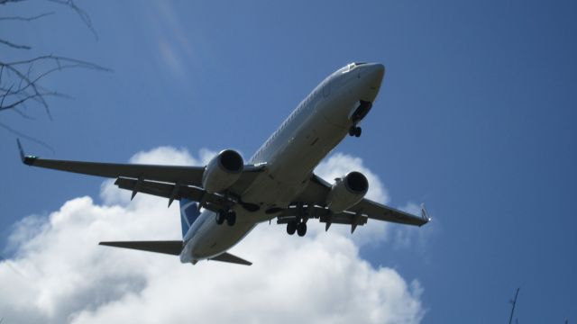 Boeing 737-800 (C-FLBV)