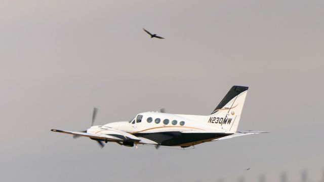 Cessna 421 (N230MW)