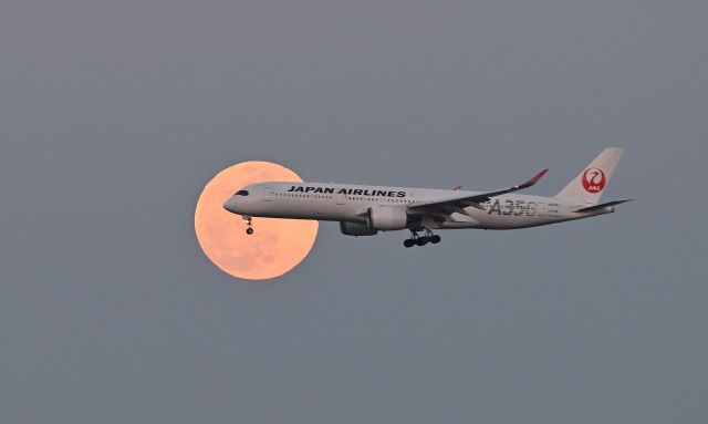 Airbus A350-900 (JA02XJ) - February 24, 2024br /JAL A350-900 (JA02XJ) approaching RWY34L with a full moon behind it.