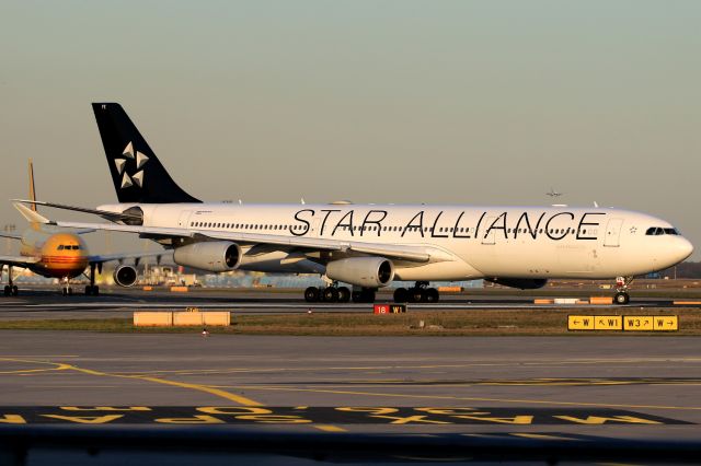 Airbus A340-300 (D-AIFE)