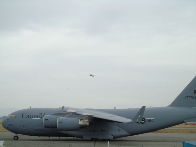 Boeing Globemaster III (17-7703) - There's beauty in the beast