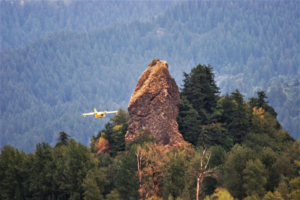 Canadair CL-215 (N264V) - Scooping water on he Columbia River while fighting a Mt. Hood Fire in 2014.