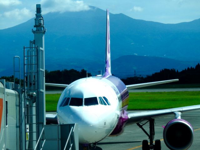 Airbus A320 (JA808P)