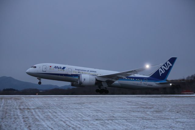 Boeing 787-8 (JA825A) - 26 December 2015:HKD-HND.