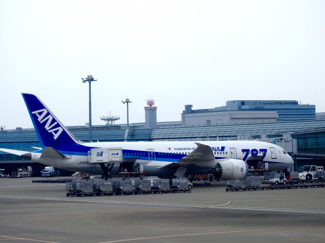 Boeing 787-8 (JA812A)