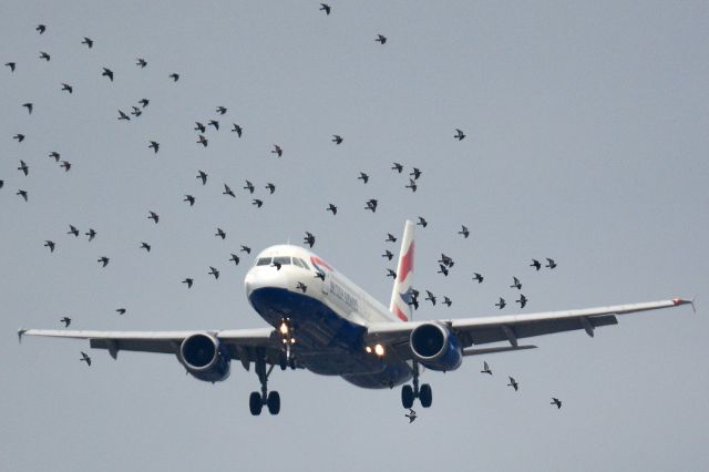 Airbus A320 (G-EUYG)