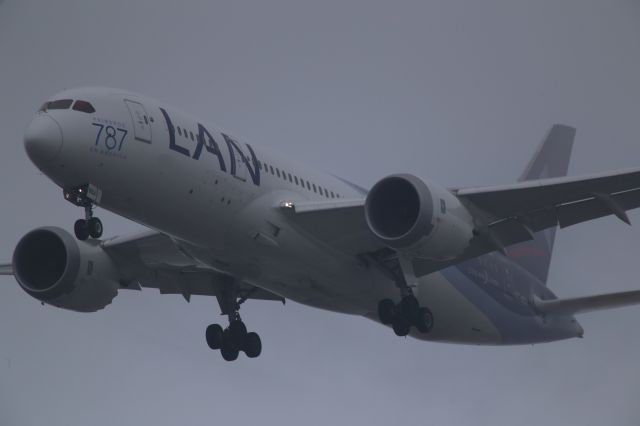 Boeing 787-8 (CC-BBA)