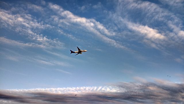 Boeing 777-200 (N850FD) - July 9th approx. 6 am,  I took 7 pictures in a row. I cant explain why the halo around the plane.