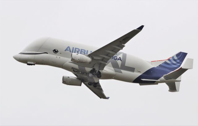 F-WBXL — - airbus beluga xl f-wbxl testing at shannon 20/5/21.