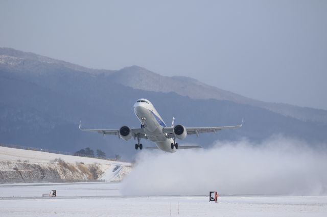 Airbus A321neo (JA135A) - January 3rd 2022:HKD-HND.