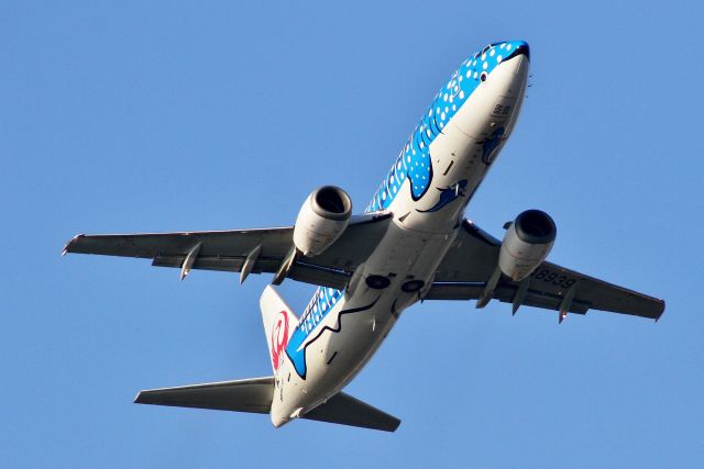 BOEING 737-400 (JA8939) - (18/11/2013)