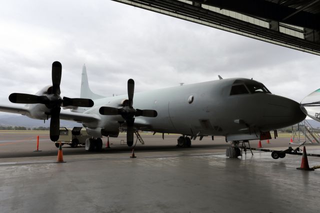 Lockheed P-3 Orion — - Newly arrived addition to the HARS Museum, an RAAF, Lockheed, P3 Orion. To the right of frame you can make out the observation/nose cone of HARS, Lockheed, Neptune.