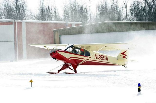 Piper L-21 Super Cub (N1355A) - flyin feb 2016