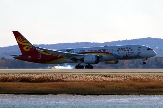 Boeing 787-9 Dreamliner (B-7667) - Welcome to Hain special livery
