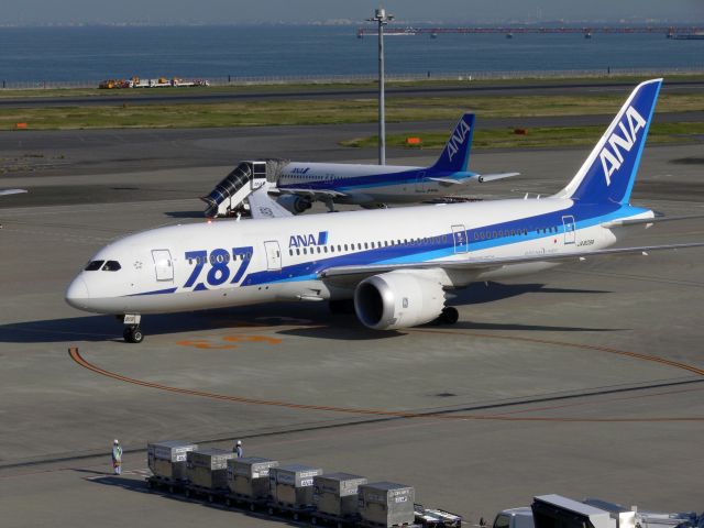 Boeing 787-8 (JA809A)