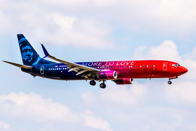 Boeing 737-900 (N493AS) - The intensely colored More to Love arriving 18R/KDFW