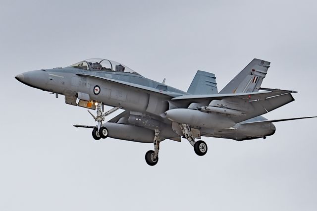 Boeing Hornet (A21111) - McDonnell FA-18B serial A21-111, on strength with RAAF 75 sqn YPEA 21 February 2020.