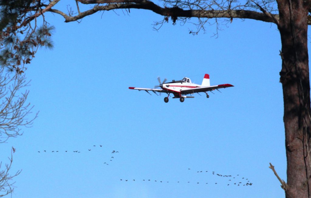 AIR TRACTOR Fire Boss (N169JT) - Shot through kitchen window