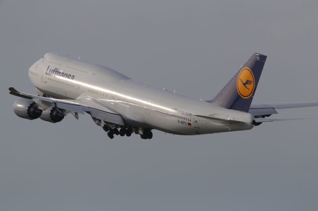 BOEING 747-8 (D-ABYC)