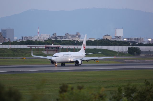 Boeing 737-800 (JA313J)