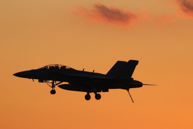 — — - One of the two F-18's giving a carrier approach during the Wednesday Twilight Air Show.br /br /Believe this Growler is from Whidbey br /IS NAS Washington