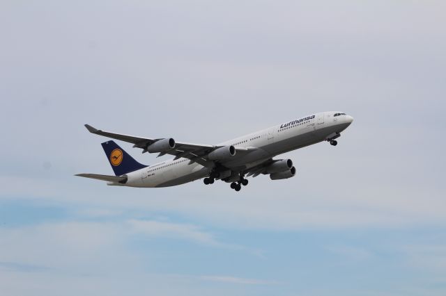 Airbus A340-300 (D-AIGL)