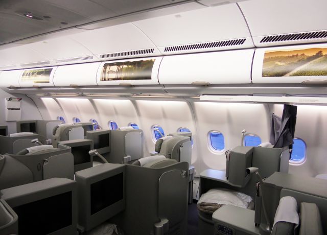 Airbus A330-200 (EI-EJL) - Inside EI-EJL as AZ614 Notice the artwork in the new Magnifica Class !