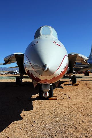 Grumman F-14 Tomcat (16-0684) - F-14 Tomcat on display at the Pima Air and Space Museum, next to Davis-Monthan AFB.