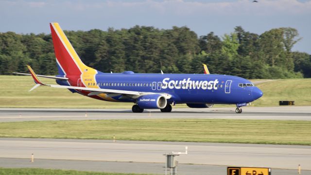 Boeing 737-800 (N8305E)