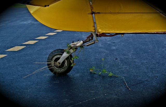 Cessna Skylane (N4748E) - Tail wheel collects a bouquet of hay and clover...