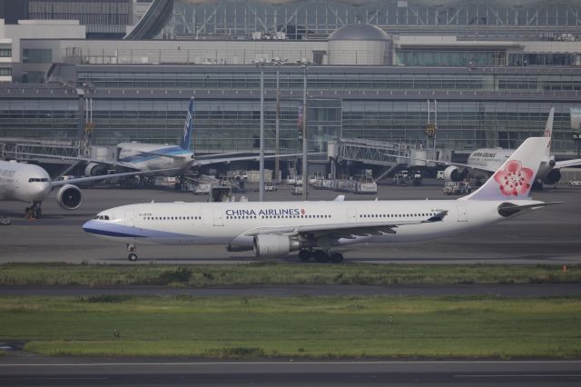 Airbus A330-300 (B-18316) - June 24, 2024:HND-TSA