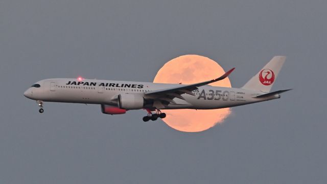 Airbus A350-900 (JA02XJ) - February 24, 2024br /JAL A350-900 (JA02XJ) approaching RWY34L with a full moon behind it.