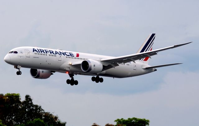 Boeing 787-9 Dreamliner (F-HRBI) - Landing rwy 15 at Galeão Int´apt