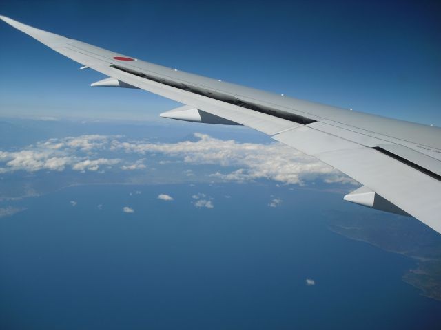 Boeing 787-8 (JA801A)