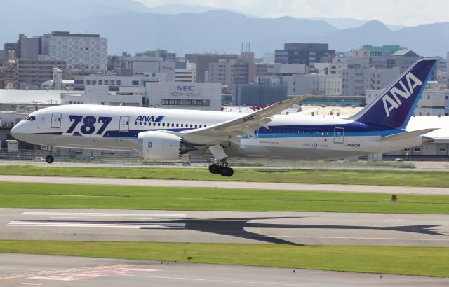 Boeing 787-8 (JA810A)