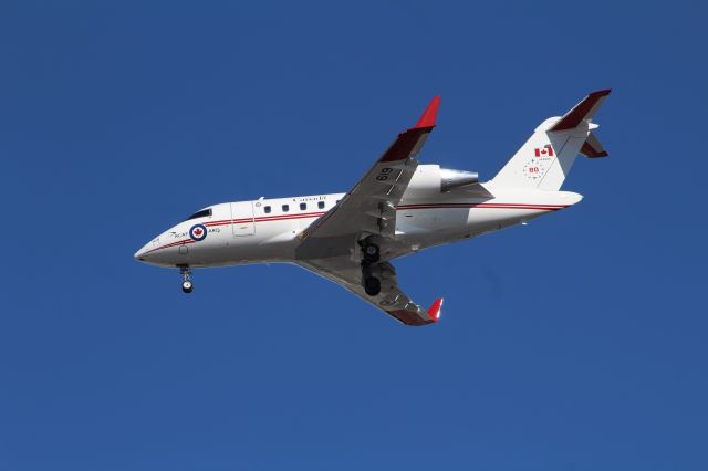 Canadair Challenger (14-4619)