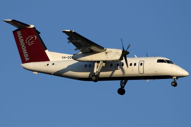 de Havilland Dash 8-100 (VH-QQD) - Maroomba Airlinesbr /on 21 November 2017